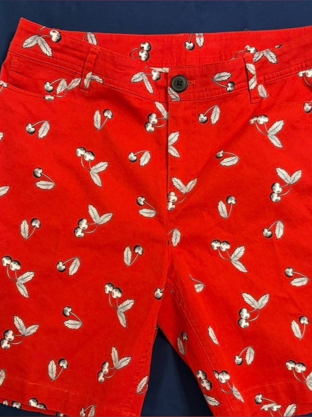 Christopher & Banks Red Cherry-Print Flat Front Women’s Shorts Size 6 NWT